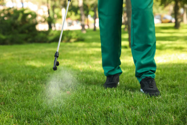 Best Bed Bug Extermination  in Marble Hill, MO