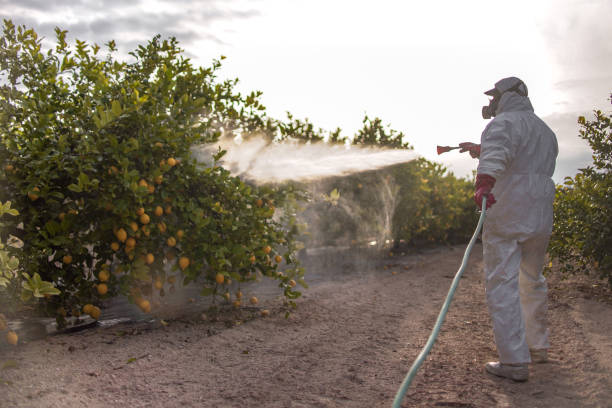 Best Residential Pest Control  in Marble Hill, MO
