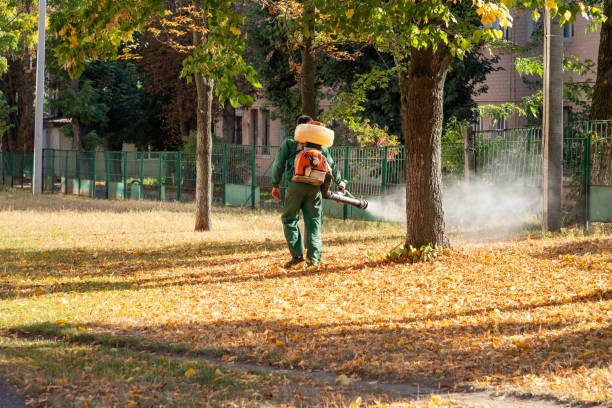 Best Best Pest Control Companies  in Marble Hill, MO