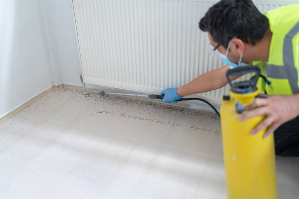 Best Bed Bug Extermination  in Marble Hill, MO
