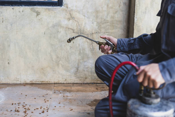 Best Best Pest Control Companies  in Marble Hill, MO