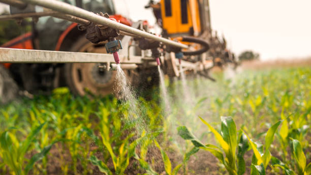 Best Best Pest Control Companies  in Marble Hill, MO
