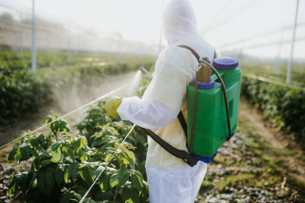 Best Emergency Pest Control  in Marble Hill, MO
